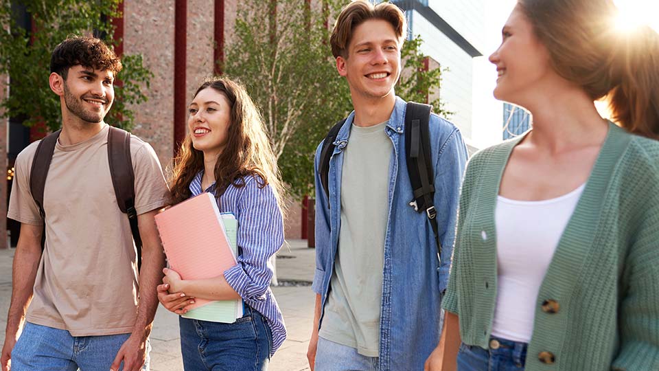 Bachelor's degree programs