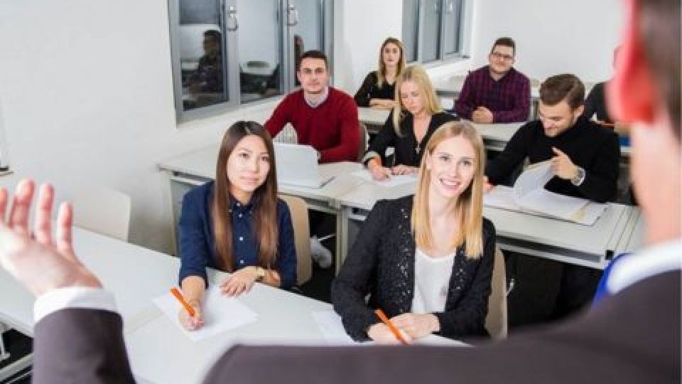 Bachelor degree program counselling