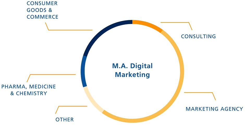 Where graduates of digital marketing at ISM work