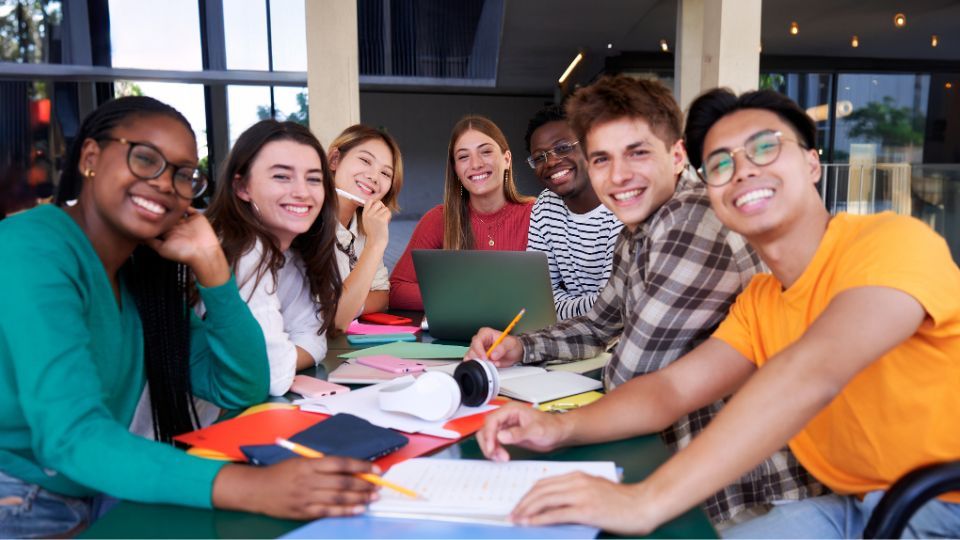 bachelor of international management 